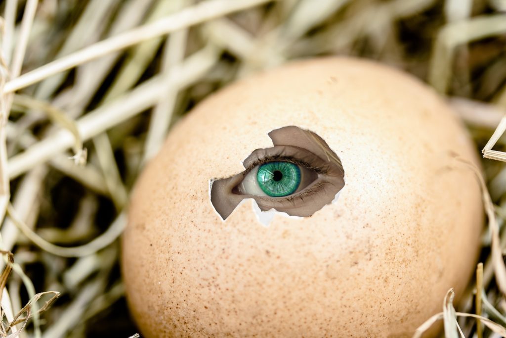 huevo roto con un ojo humano dentro