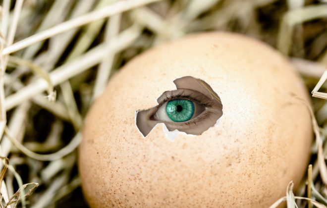 huevo roto con un ojo humano dentro