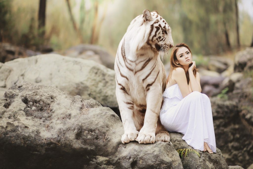 niña en la naturaleza sentada junto a un tigre blanco